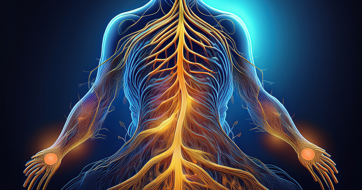 Il Nervo Vago: Un Viaggio nel Cuore del Sistema Nervoso