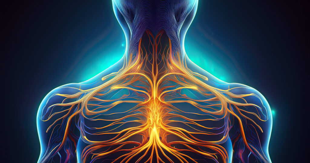 Nervo vago - nervo vago dietro la schiena - www.medicinaesteticabeauty.it